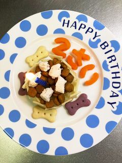 卵.乳.小麦なし!!栄養満点犬用ケーキ-レシピのメイン写真
