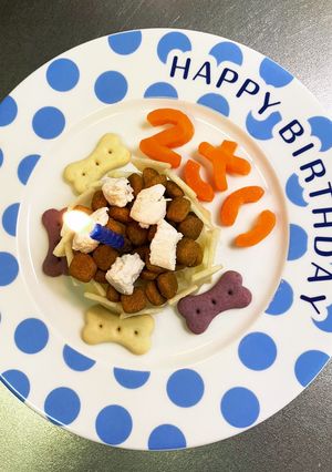 卵.乳.小麦なし！！栄養満点犬用ケーキ-レシピのメイン写真