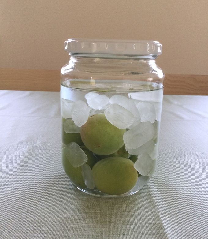 果実酒☆空き瓶 【公式通販】