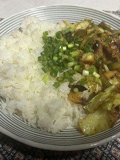 キャベツのガリバタ醤油炒めドライカレー-レシピのメイン写真