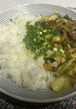 キャベツのガリバタ醤油炒めドライカレー-レシピのメイン写真