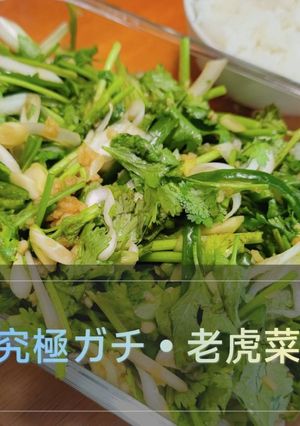 ガチ中華・老虎菜(ラオフーツァイ)-レシピのメイン写真