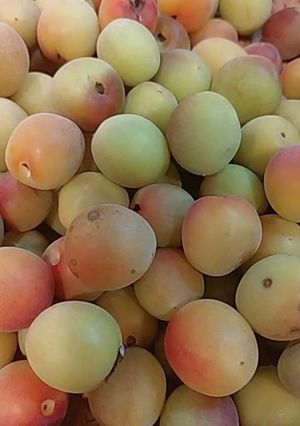 カリカリ小梅-レシピのメイン写真