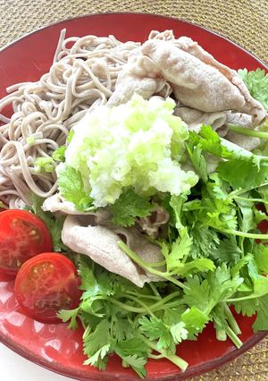 冷しゃぶおろしパクチーそば-レシピのメイン写真