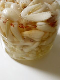 塩らっきょう漬け♡らっきょう酢漬け-レシピのメイン写真