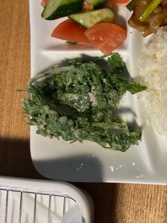 サクサクパクチーでパクパクパクチー-レシピのメイン写真