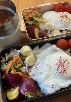 高校生男子弁当324 女子弁当31-レシピのメイン写真
