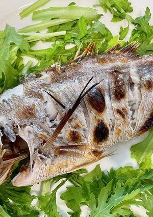 ちだい(血鯛)の塩焼き-レシピのメイン写真