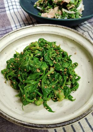 おおばら(ハリギリ)の和え物-レシピのメイン写真