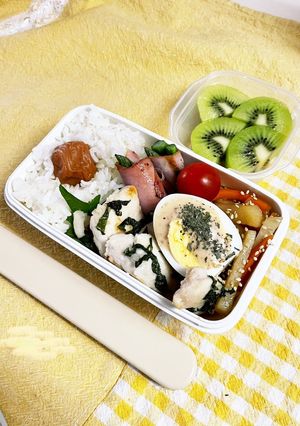20230529娘ちゃんのお弁当-レシピのメイン写真