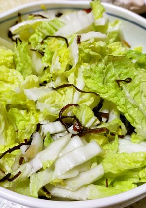 やみつき塩白菜★ミニ白菜の塩昆布あえ-レシピのメイン写真