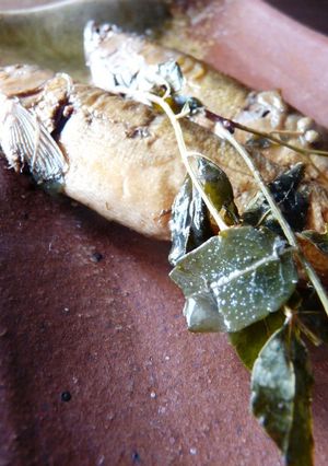 鮎の山椒煮-レシピのメイン写真