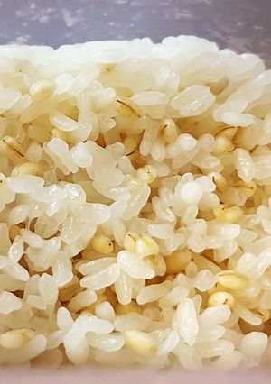 ふっくら麦ご飯 Zip top-レシピのメイン写真