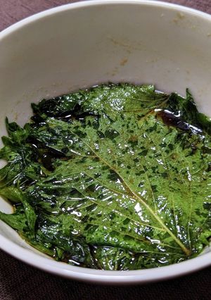 大葉の醤油漬け-レシピのメイン写真