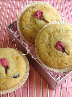 桜のプチケーキ-レシピのメイン写真