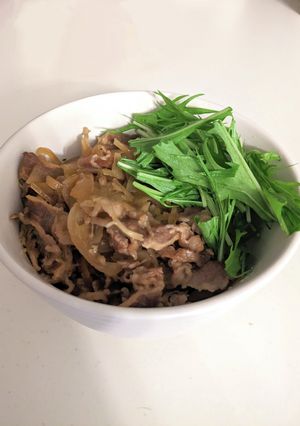 牛丼決定版-レシピのメイン写真