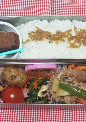 中学生のお弁当 2023.5.31-レシピのメイン写真