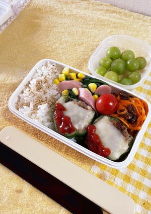 20230601娘ちゃんのお弁当-レシピのメイン写真