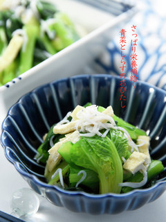さっぱり栄養補給〜青菜としらすのおひたし-レシピのメイン写真