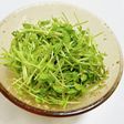 豆苗生サラダ