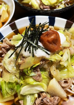 野菜たっぷり、ぶっかけうどん-レシピのメイン写真