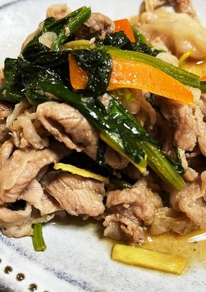 豚肉の生姜炒め-レシピのメイン写真