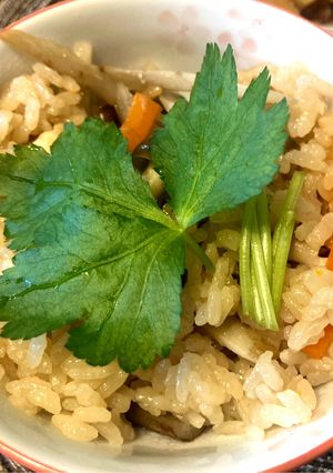 炊飯器だけ鶏ごぼうのヘルシー炊き込みご飯-レシピのメイン写真