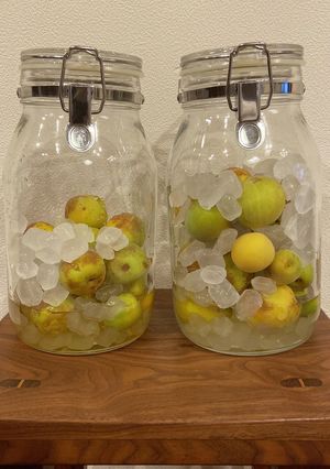 梅シロップ-レシピのメイン写真