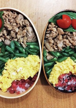 曲げわっぱ、男子高校生親子弁当、4食丼-レシピのメイン写真
