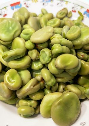 そら豆の塩茹で-レシピのメイン写真