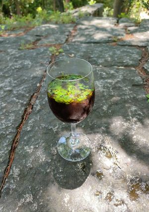 パクチーコーヒー〜ゴージャスに変身!-レシピのメイン写真
