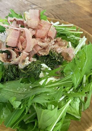 新茶の茶殻とお豆腐のサラダ-レシピのメイン写真