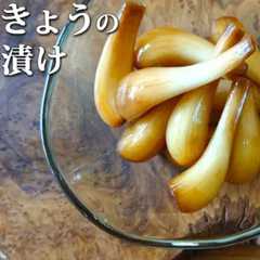 รูปของ 1年シャキシャキ。ラッキョウの中華漬け