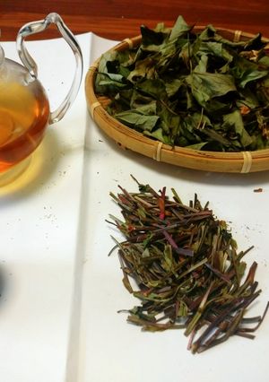 ドクダミ茶をつくる-レシピのメイン写真