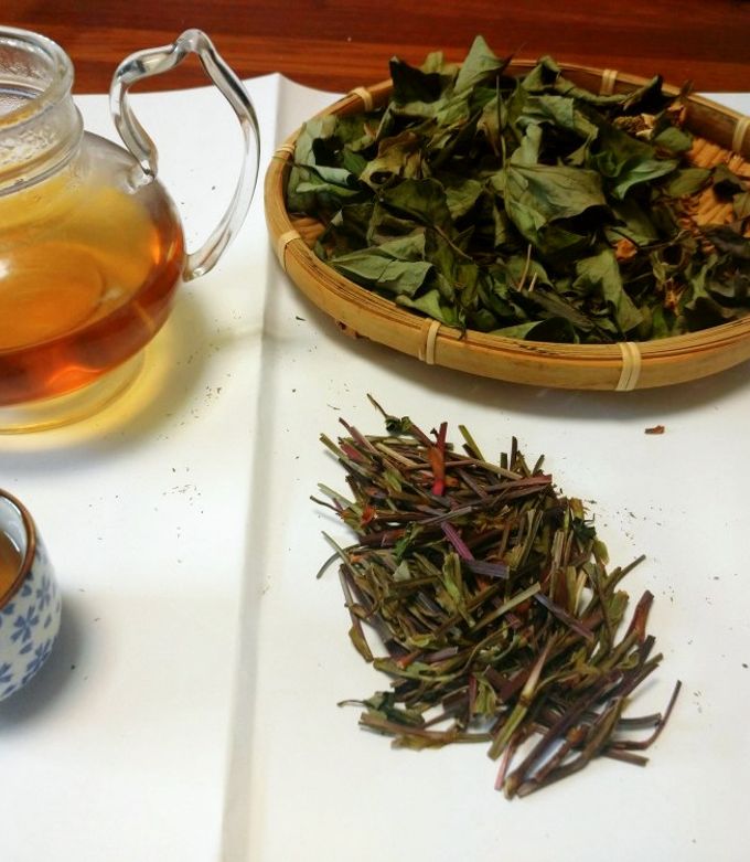 ドクダミ茶をつくる-レシピのメイン写真