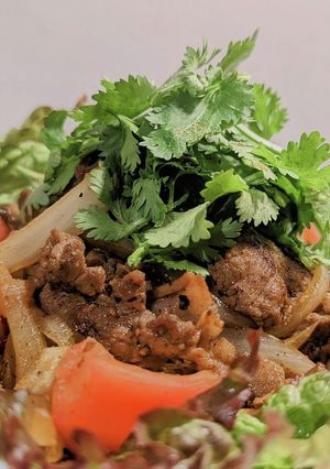 ケバブ風ラム肉のソテーとパクチーのサラダ-レシピのメイン写真