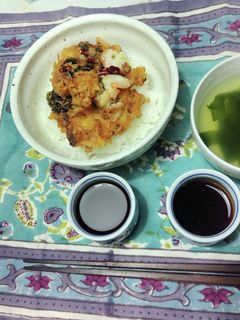 ここまでしても食えないパクチーかき揚げ丼-レシピのメイン写真