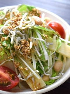 【給食】筍と水菜のシャキシャキサラダ-レシピのメイン写真