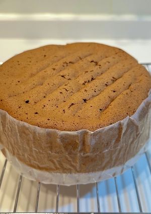 簡単チョコジェノワーズ(ココアパウダー)-レシピのメイン写真