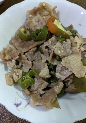漬け置き豚肉とピーマン炒め-レシピのメイン写真