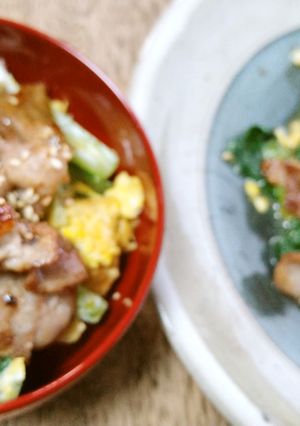 豚丼と酒の肴一気に出来るもろみのチカラ-レシピのメイン写真