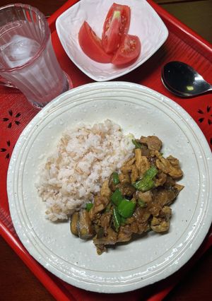 ３種調味料ザク切りなすと豚肉ドライカレー-レシピのメイン写真