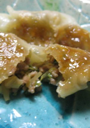 餃子革命　美味しい汁を閉じ込めた♪-レシピのメイン写真