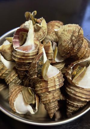 つぶ貝の酒蒸し！-レシピのメイン写真