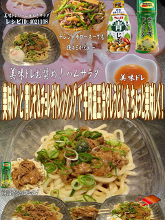 美味ドレ青じそチョレギ牛肉冷やしうどん!-レシピのメイン写真