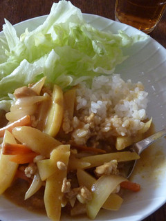 和カレー丼-レシピのメイン写真