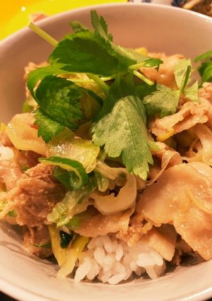 甘辛豚丼-レシピのメイン写真