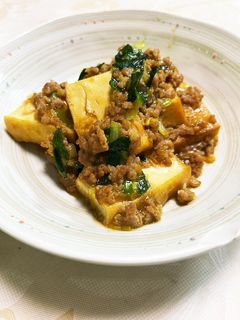厚揚げとひき肉の炒め煮-レシピのメイン写真
