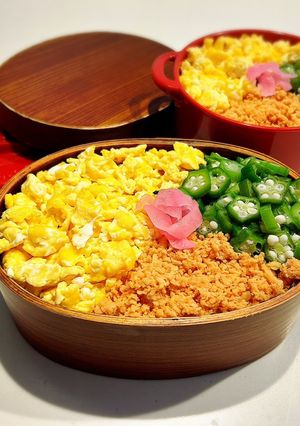 のっけ弁当2023.06.08そぼろ弁当-レシピのメイン写真