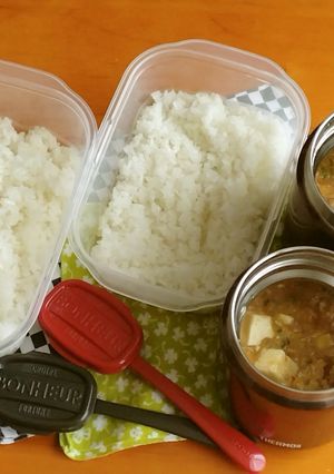 お弁当2023年6月8日-レシピのメイン写真